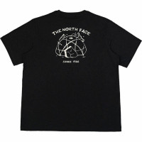 THE NORTH FACE T