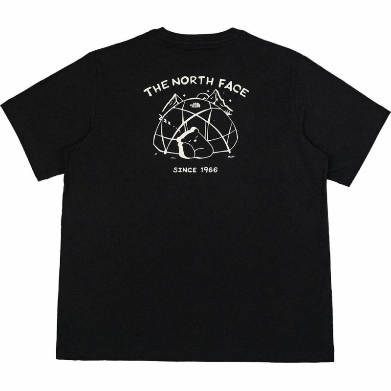 THE NORTH FACE T