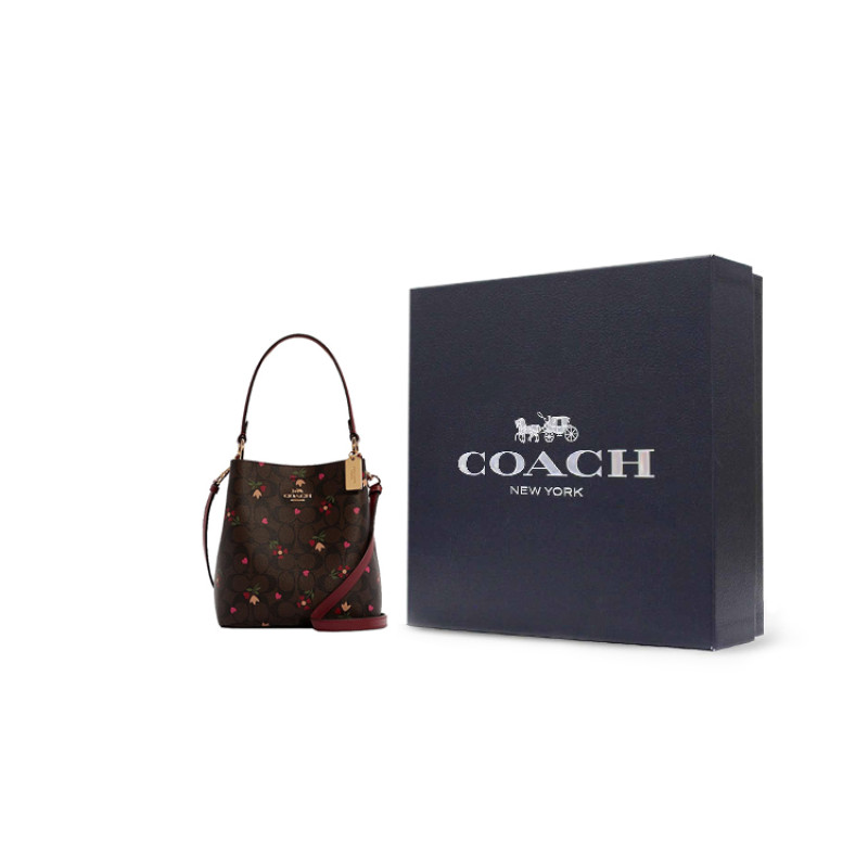 COACH Town 22