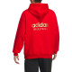 adidas originals FW23 CNY logo