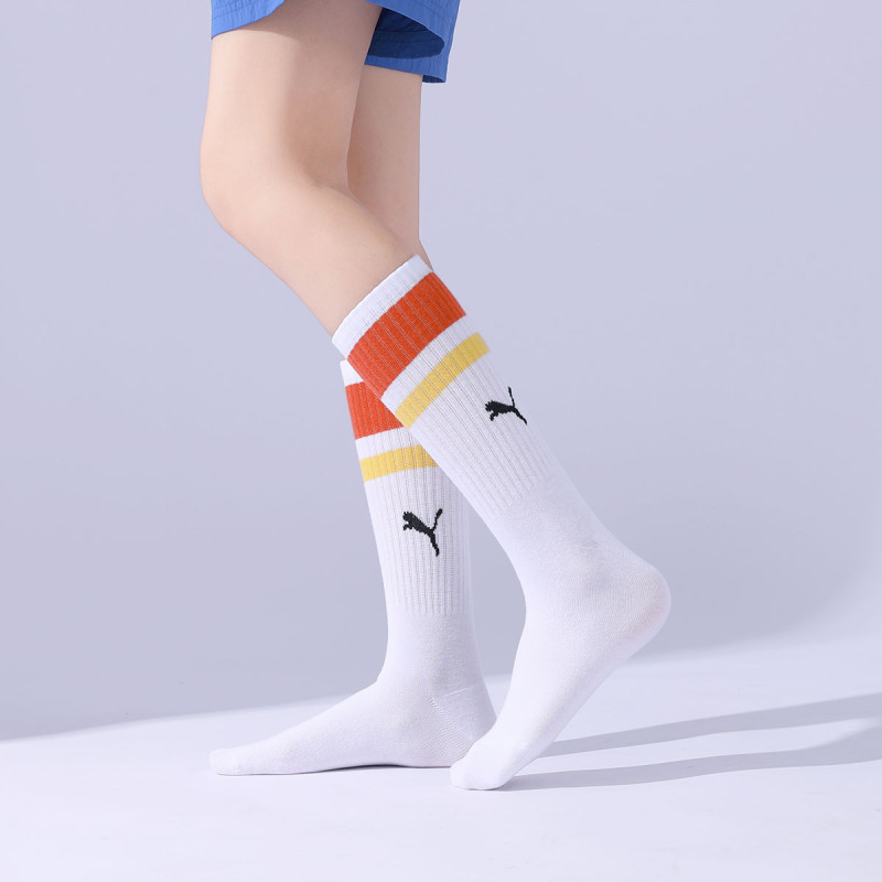 PUMA 3