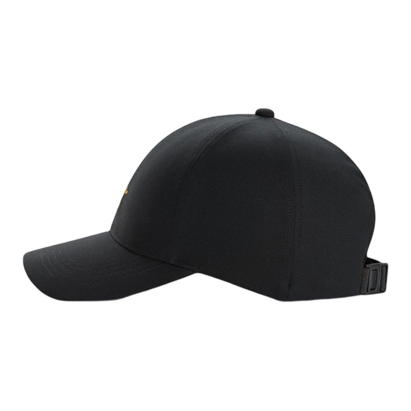 Arcteryx Logo