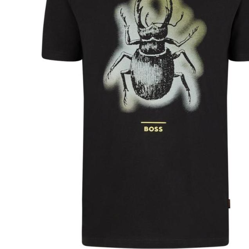 HUGO BOSS FW22 T