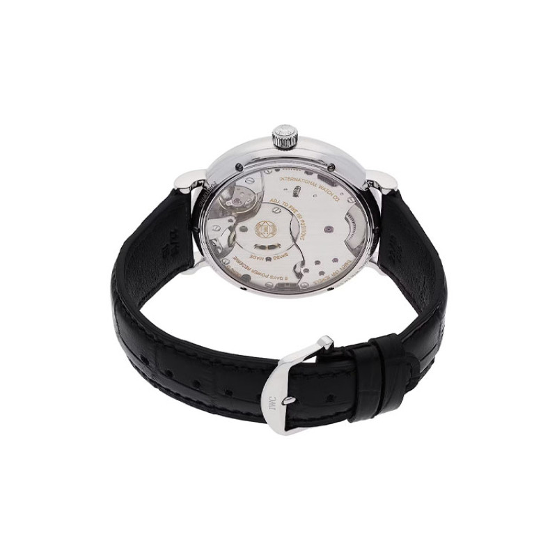 IWC 300 45mm IW510106