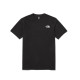 THE NORTH FACE logoT