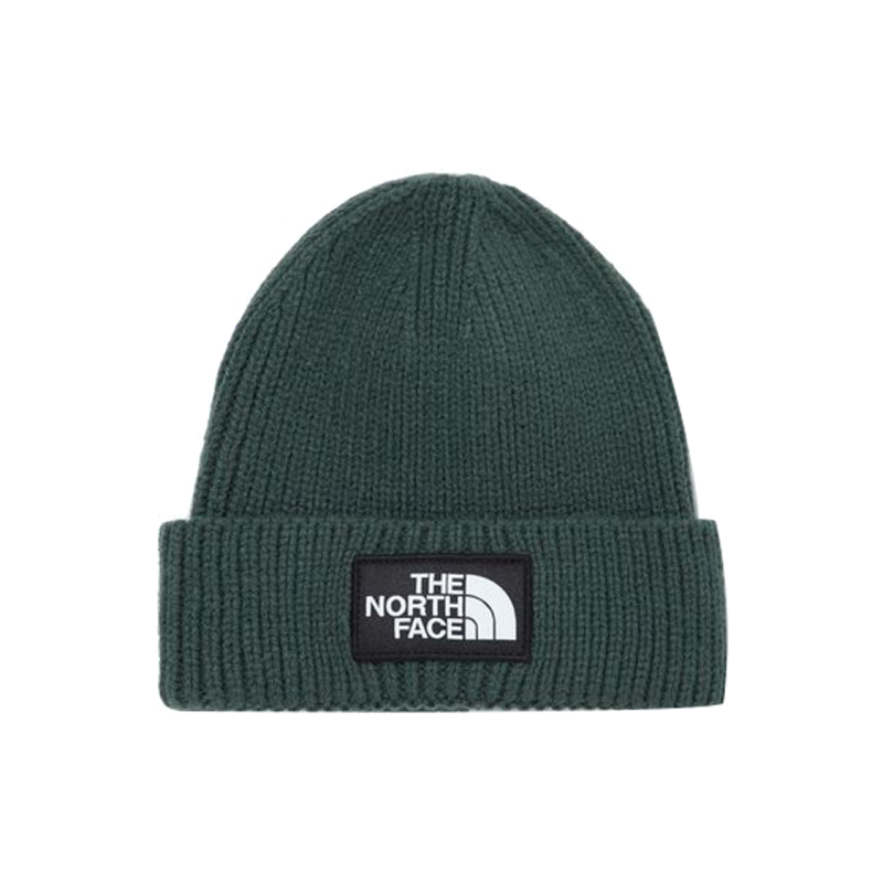 THE NORTH FACE logo