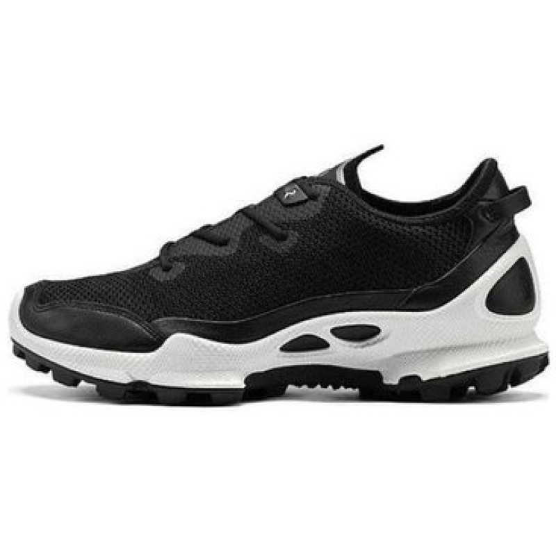ecco C