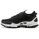 ecco C