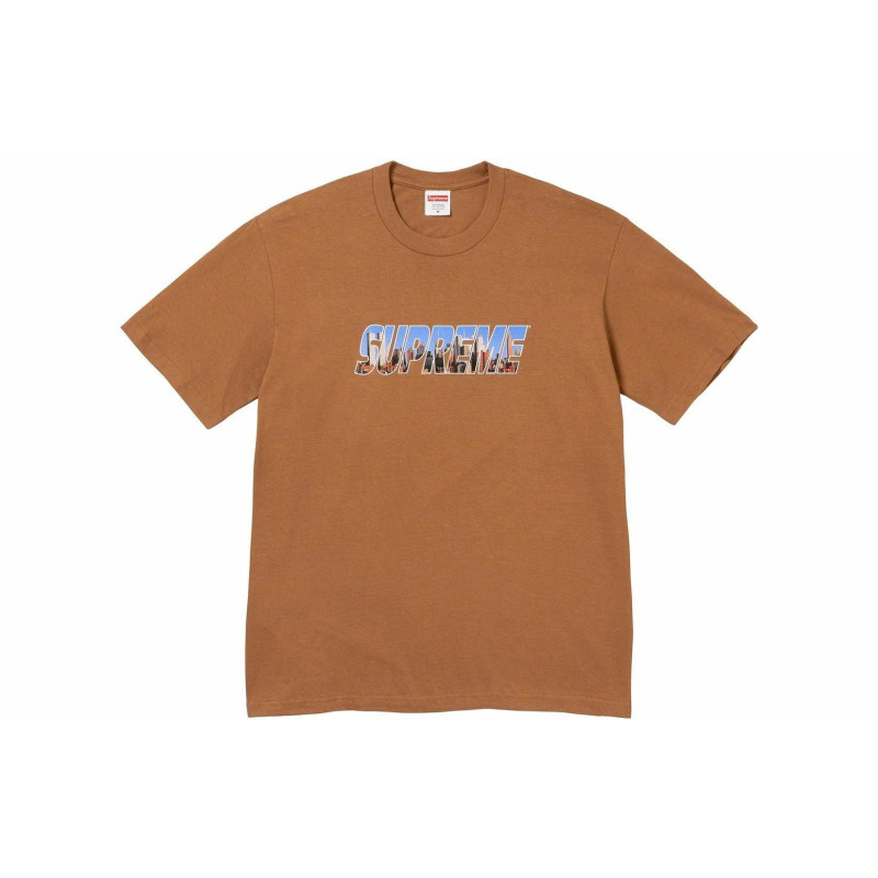 Supreme FW23 WEEK1 GOTHAM TEE LogoT