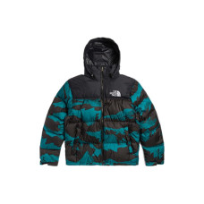 THE NORTH FACE FW22 1996 Retro Nuptse Jacket 700 Icon