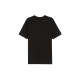 Champion T