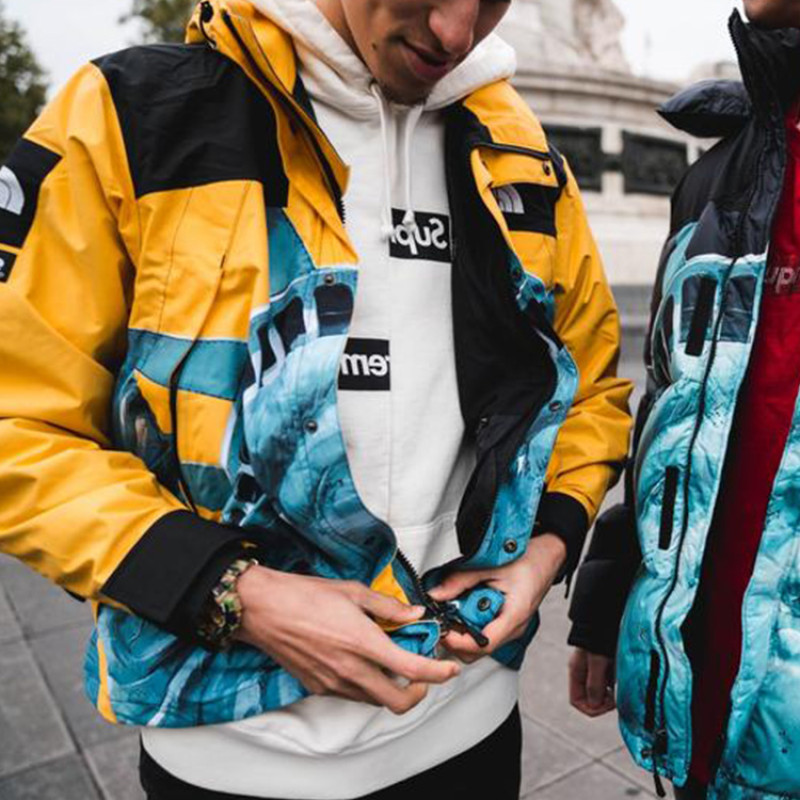 Supreme x THE NORTH FACE TNF