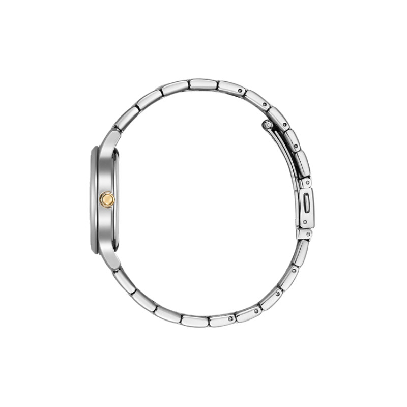 CITIZEN Eco Drive 50 EM0895-73A