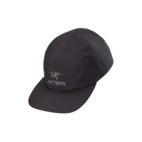 Arcteryx -