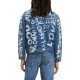 Levis Logo