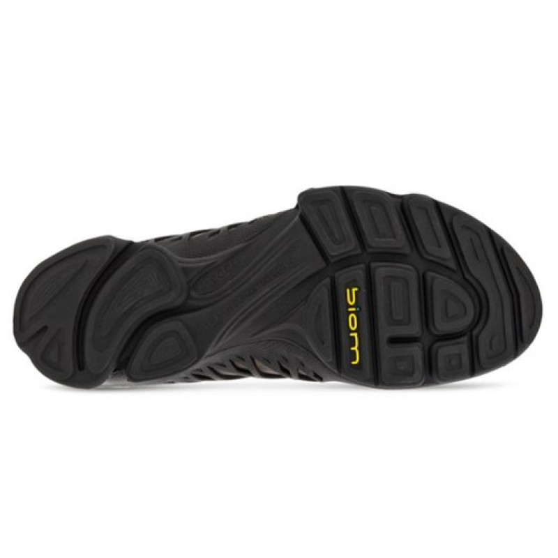 ecco Biom Aex
