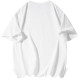 SESAME STREET T