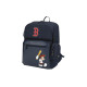 MLB DISNEY