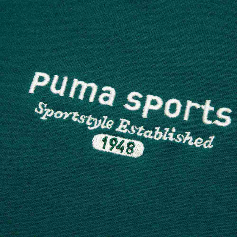 PUMA TEAM TEE T