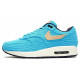 Nike Air Max 1 PRM 