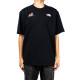 THE NORTH FACE T