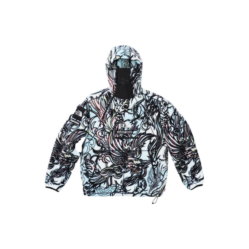 Supreme x the north face TNF FW22 logo