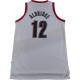 adidas x NBA SWINGMAN 12