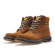CAT E Colorado SS23