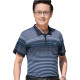PIERRE CARDIN Polo