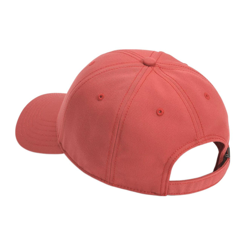 THE NORTH FACE Logo 4VSV
