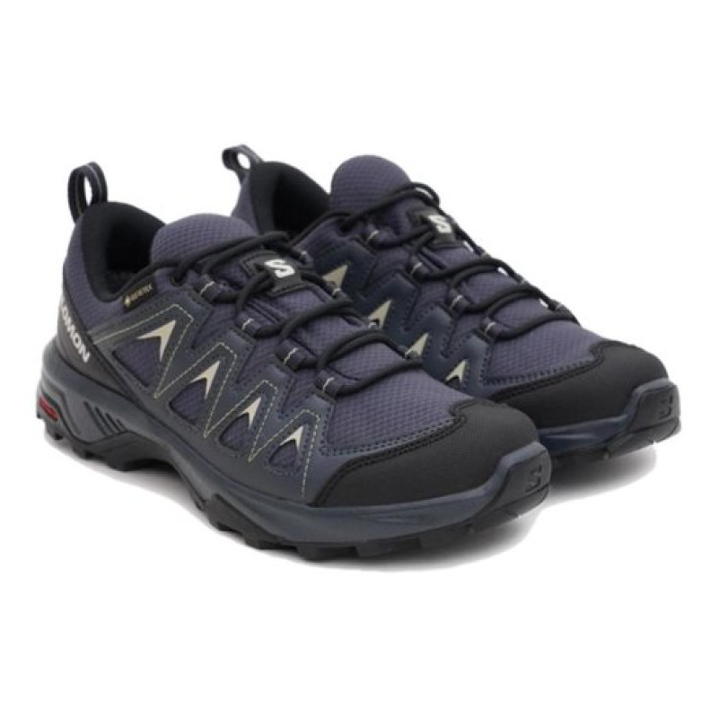 SALOMON X Braze GTX