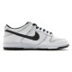 Nike Dunk Retro