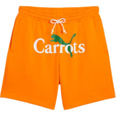 PUMA x CARROTS SS24 logo