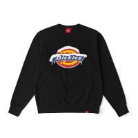 Dickies LOGO DK0A884C