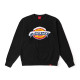 Dickies LOGO DK0A884C