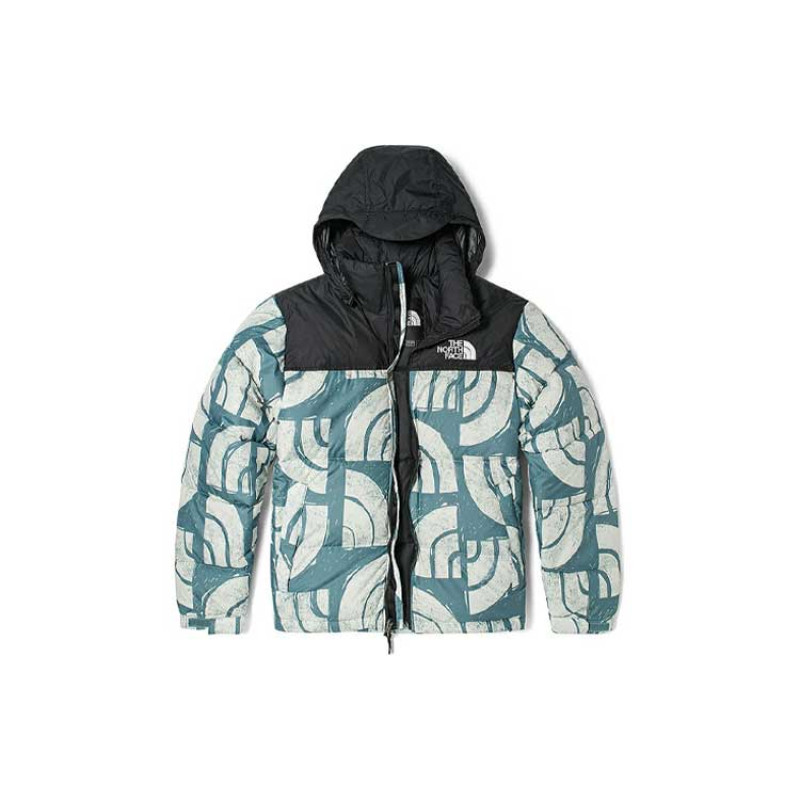 THE NORTH FACE 1996 Retro Nuptse 700