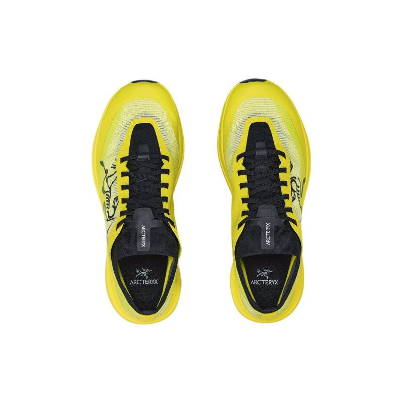 Arcteryx SYLAN PRO