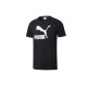 Puma T