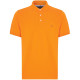 Tommy Hilfiger 1985 polo