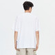 FAIRWHALE T