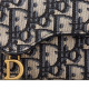 DIOR Saddle
