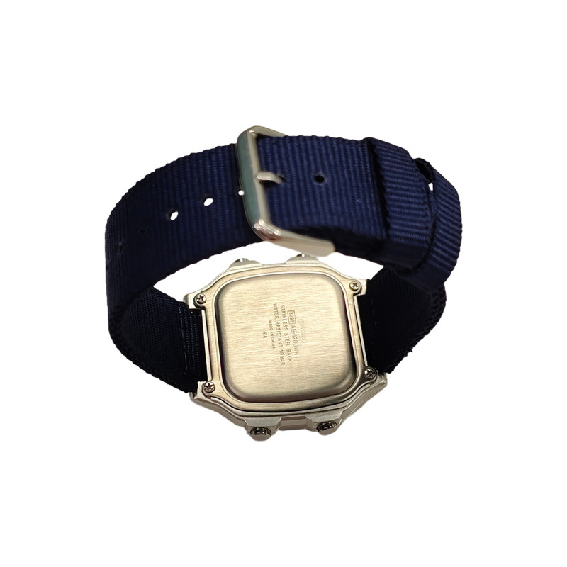 CASIOYOUTH 10AE-1200WHD-1A