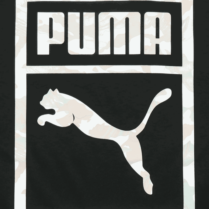 Puma T