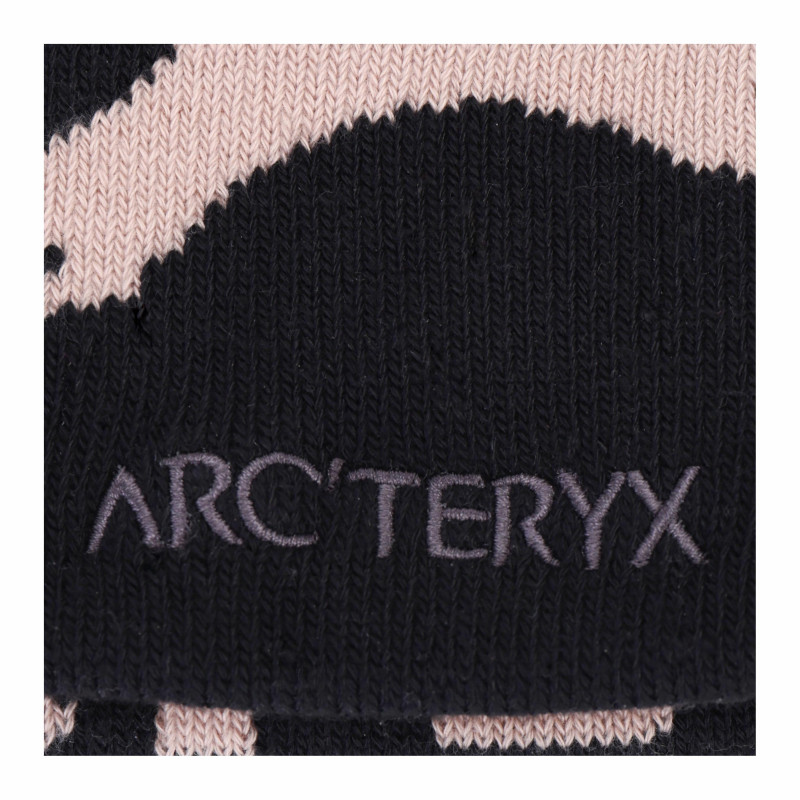 Arcteryx Logo