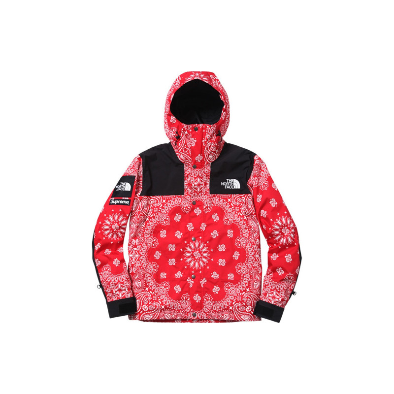 Supreme x THE NORTH FACE
