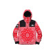 Supreme x THE NORTH FACE