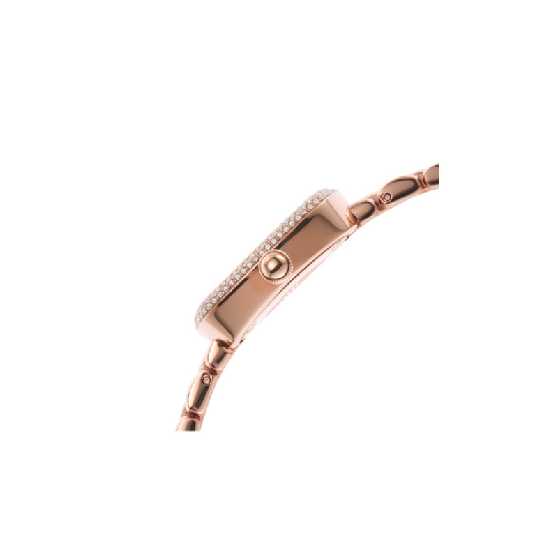 EMPORIO ARMANIROSA AR11496