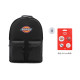 Dickies 100