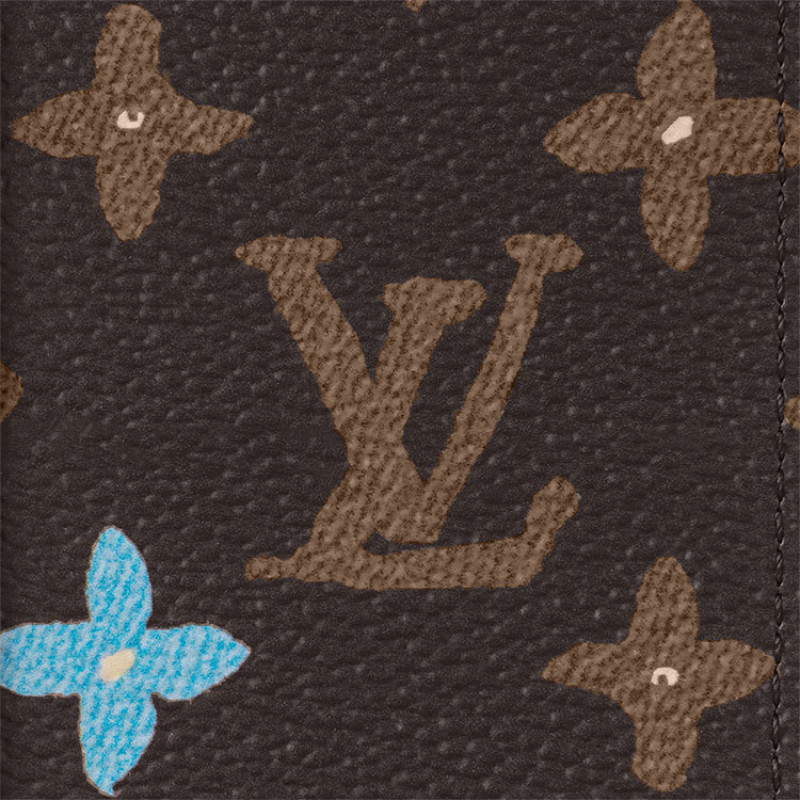LOUIS VUITTON xTyler Pocket Organizer