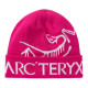 Arcteryx